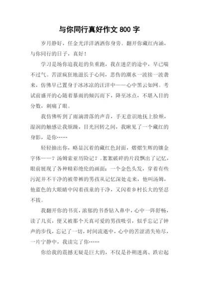 与你同行真好作文800字.docx