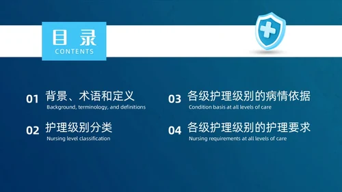 蓝色简约商务护士医务分级护理制度培训总结PPT