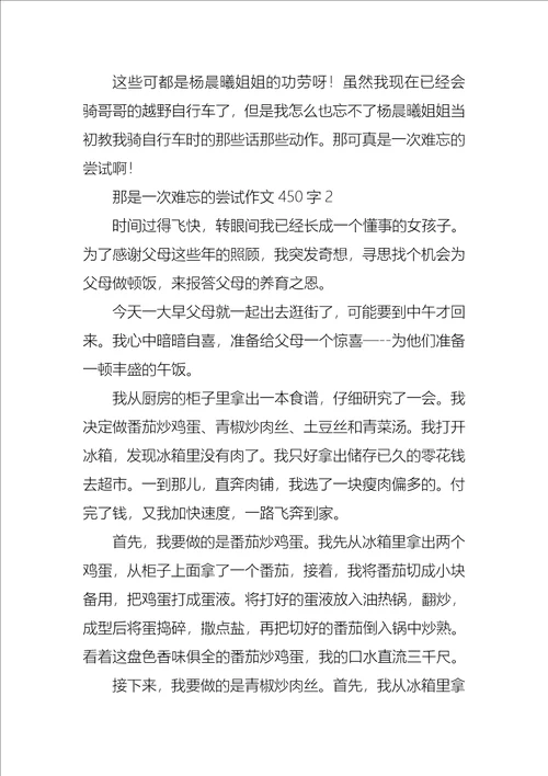 那是一次难忘的尝试作文450字