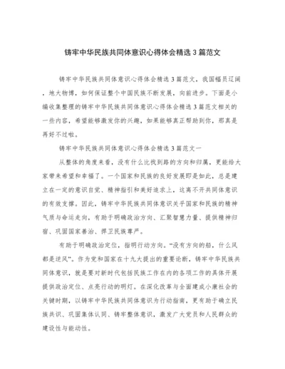 铸牢中华民族共同体意识心得体会精选3篇范文.docx