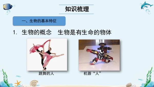 1.1《认识生物》复习课件(18张PPT)