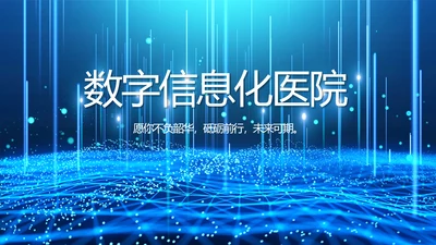 医院医疗科技信息化建设工作总结报告PPT