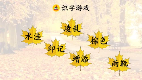 5 铺满金色巴掌的水泥道