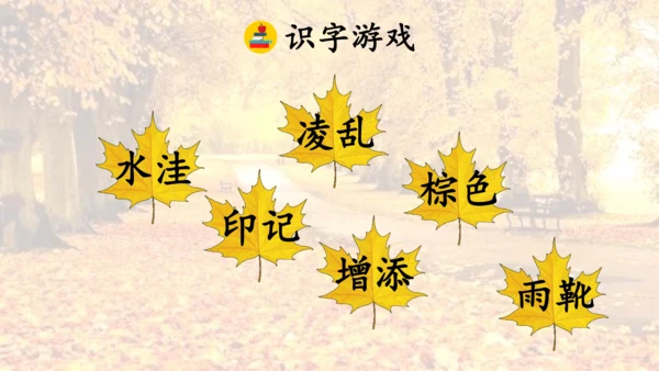 5 铺满金色巴掌的水泥道