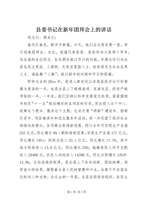 县委书记在新年团拜会上的讲话.docx