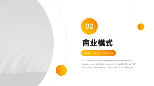 金黄企业商业计划书PPT模板