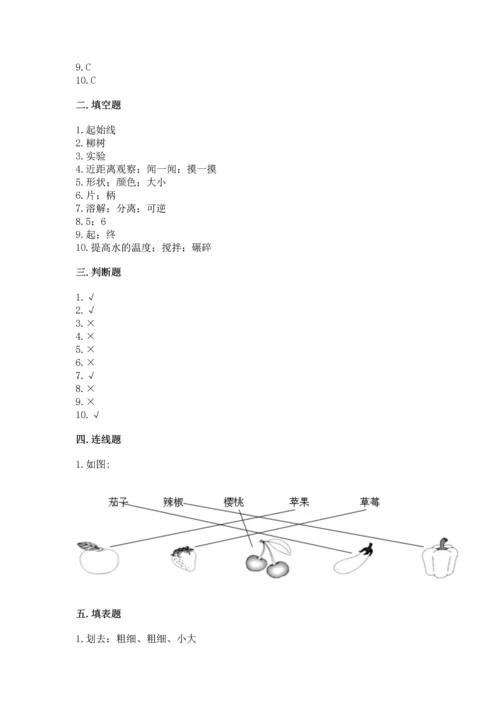 教科版一年级上册科学期末测试卷加下载答案.docx