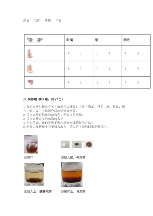 教科版一年级下册科学期末测试卷精品【黄金题型】.docx