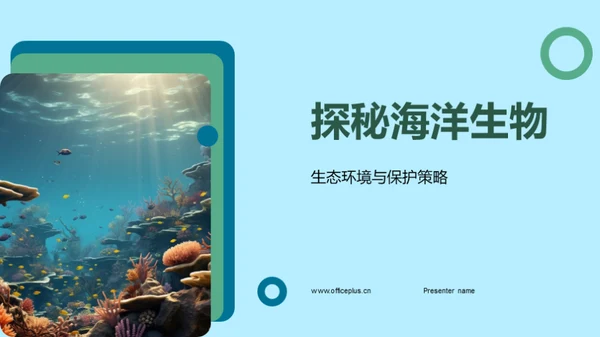 探秘海洋生物