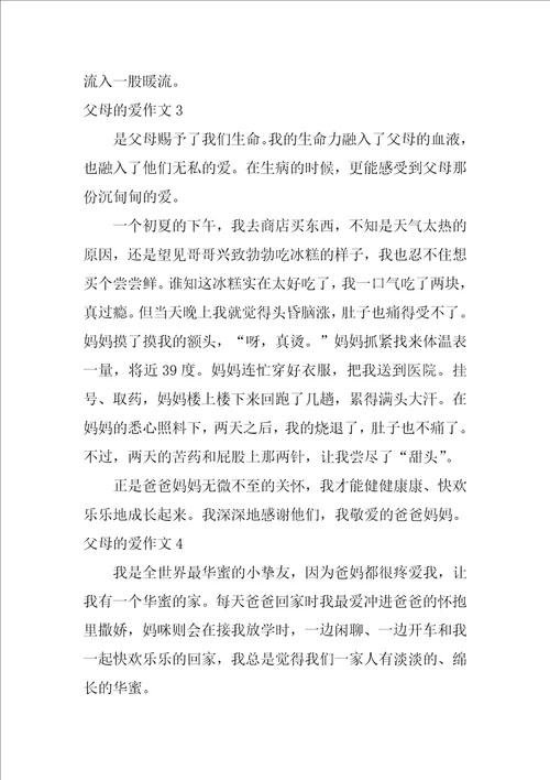 父母的爱作文7篇作文,父母的爱