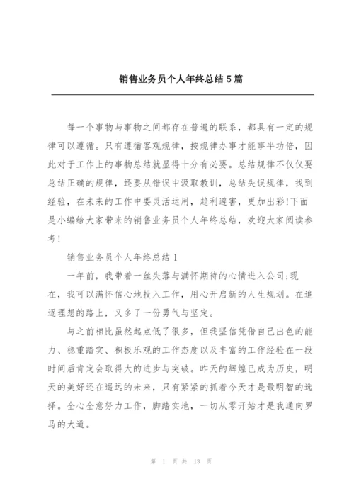 销售业务员个人年终总结5篇.docx