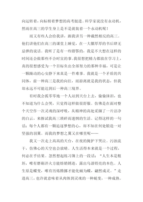 走进高三作文.docx