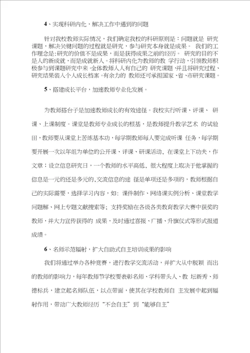 永锋小学教师专业发展年实施方案Document