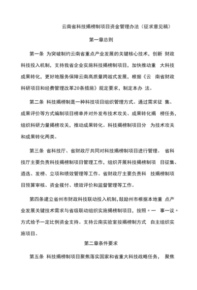 云南省科技揭榜制项目资金管理办法.docx