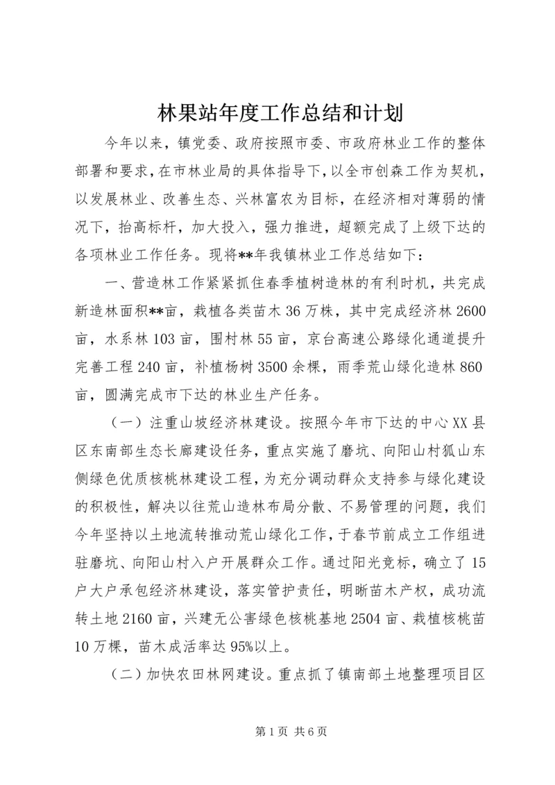 林果站年度工作总结和计划.docx