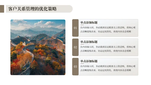 棕色客户关系管理与拓展工作总结