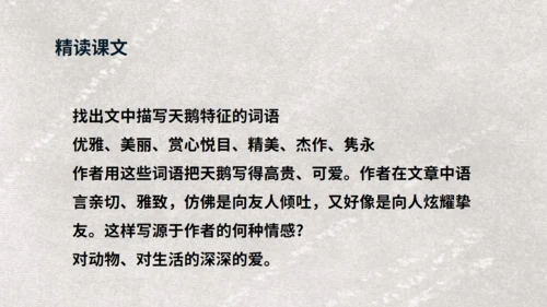 《天鹅》布丰天鹅湖通用PPT课件