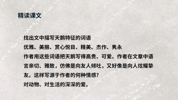 《天鹅》布丰天鹅湖通用PPT课件