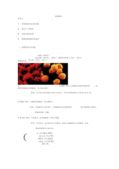 血液循环生物知识点