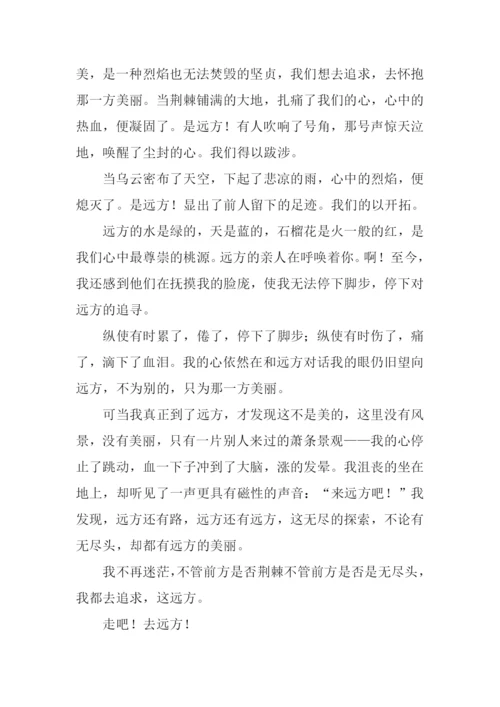 远方作文500字-10.docx