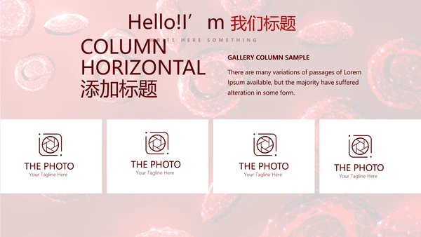 红细胞血小板动态PPT