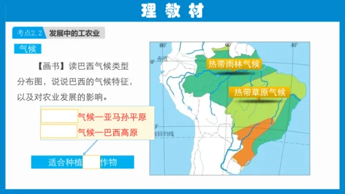 七下：美国、巴西（一轮复习课件30张） （人教版）