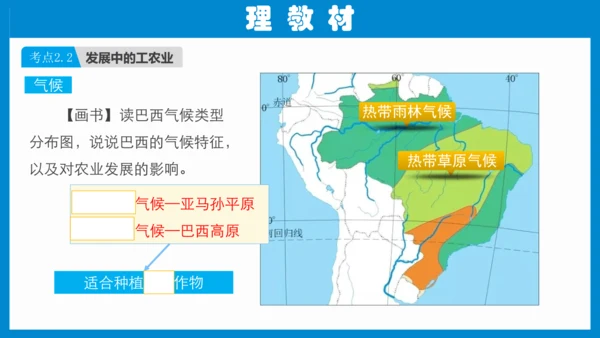 七下：美国、巴西（一轮复习课件30张） （人教版）