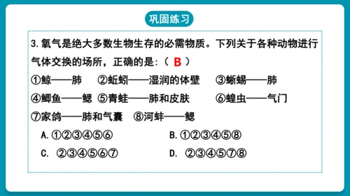 第一章动物的主要类群（复习课件）-八年级生物上册同步教学精制课件（人教版）(共25张PPT)