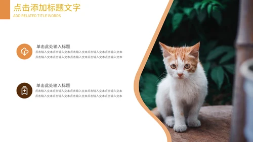 可爱宠物店猫猫狗狗通用PPT模板