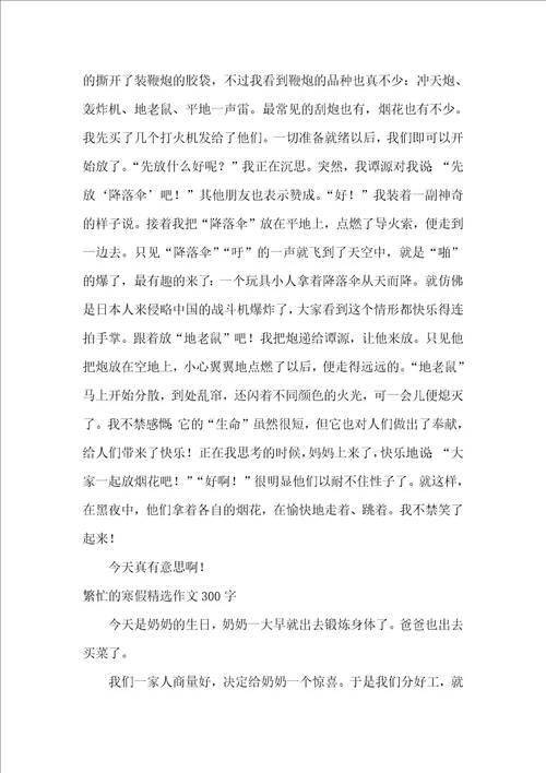 繁忙的寒假精选作文500字