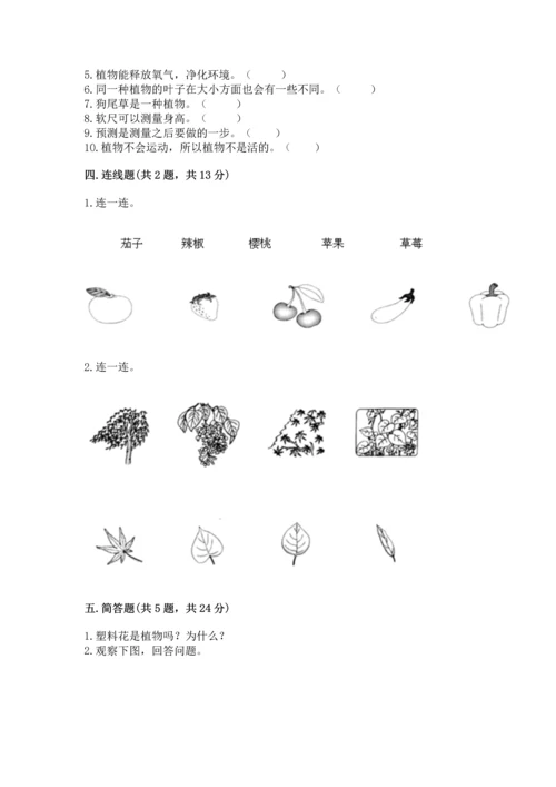 教科版一年级上册科学期末测试卷可打印.docx