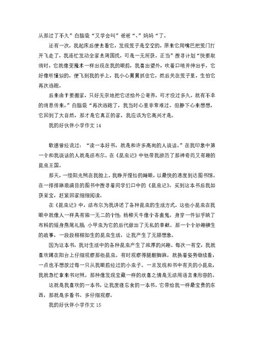 我的好伙伴小学作文