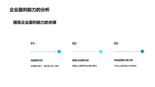 财务分析全景图