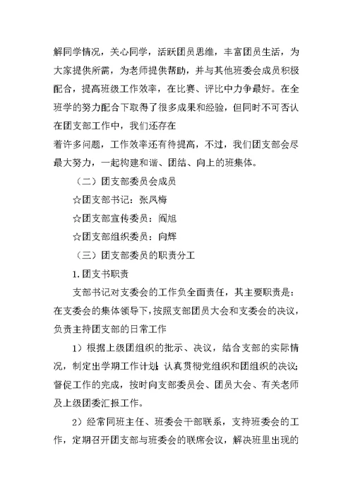 特色团支部申报材料