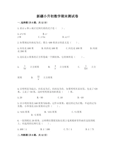 新疆小升初数学期末测试卷（精品）.docx