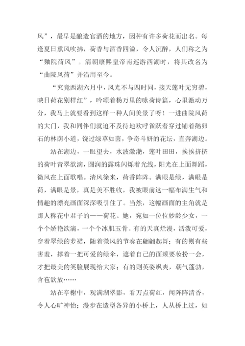 写荷花的作文600字.docx