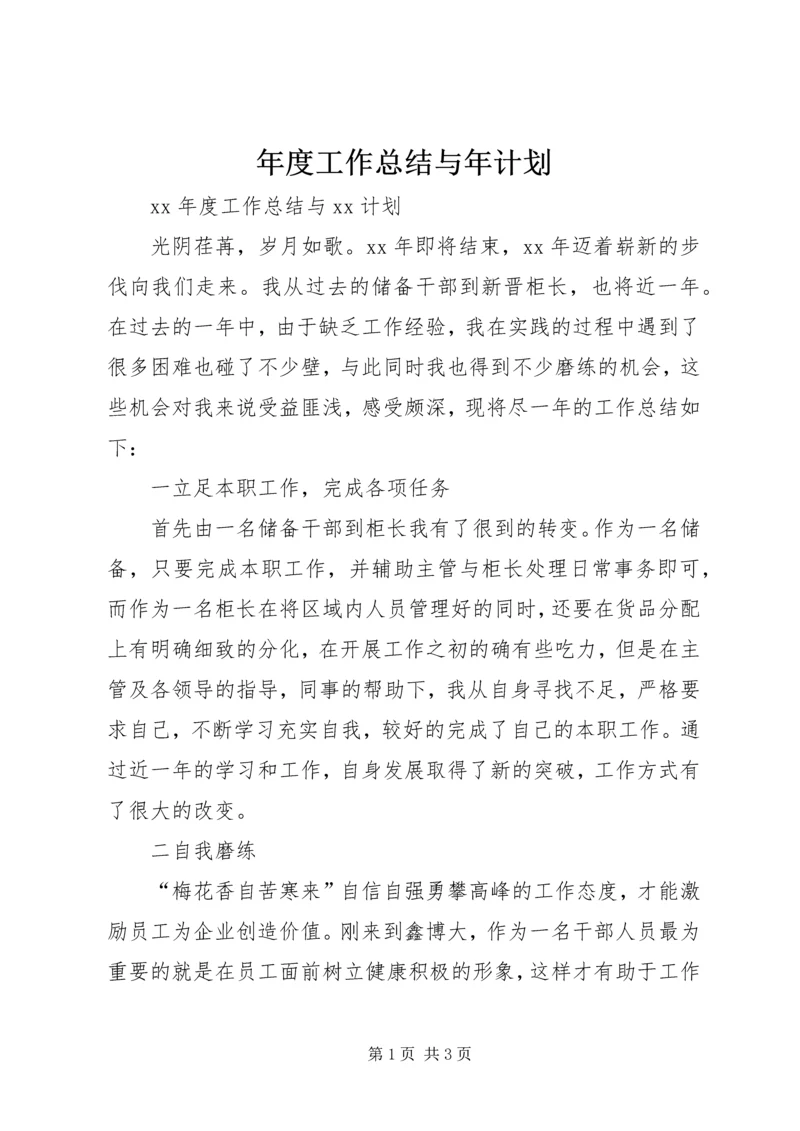 年度工作总结与年计划.docx