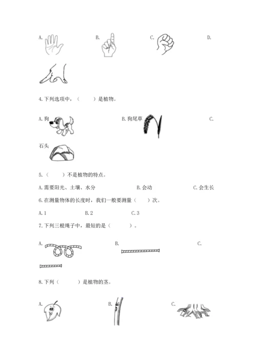 教科版小学一年级上册科学期末测试卷含完整答案【全国通用】.docx