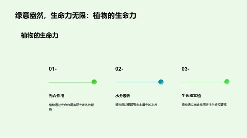 探索植物的神秘世界