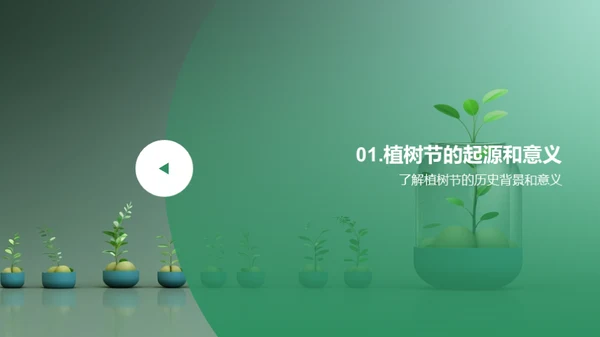 植树造林，共建绿色地球