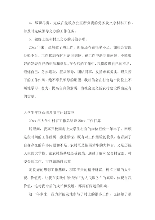 大学生年终总结及明年计划(九篇).docx