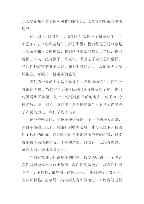 一次难忘的实践作文-2.docx