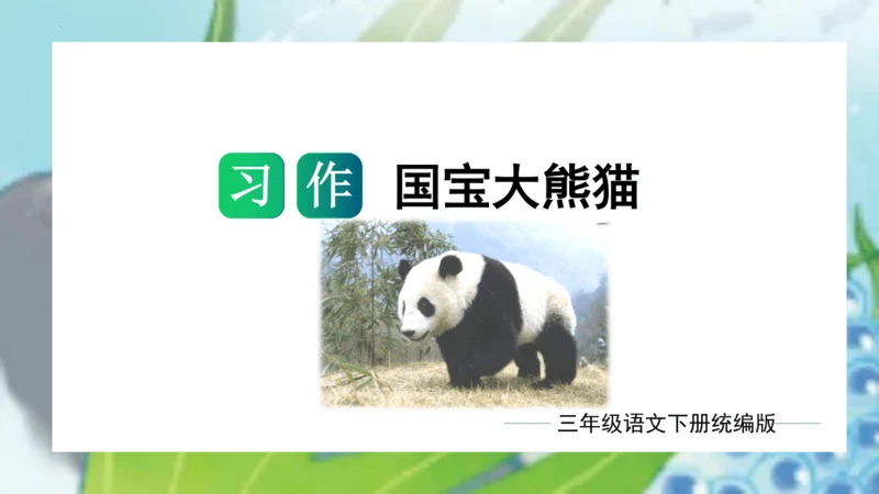 统编版三年级语文下册单元作文能力提升第七单元习作：国宝大熊猫（教学课件）