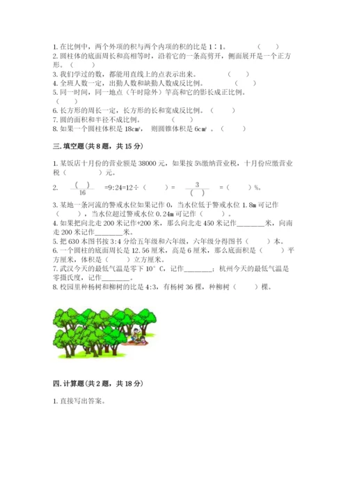 小升初六年级期末测试卷完整版.docx