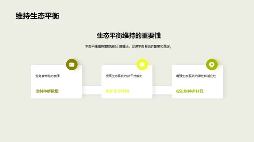 揭秘生态食物链
