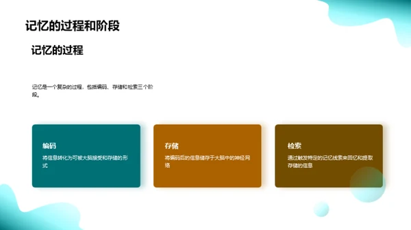 优化学习：科学方法揭秘