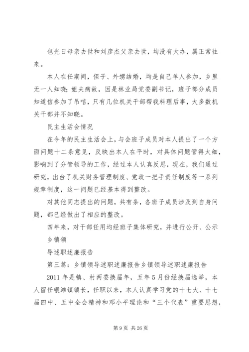 乡镇领导述职述廉报告.docx