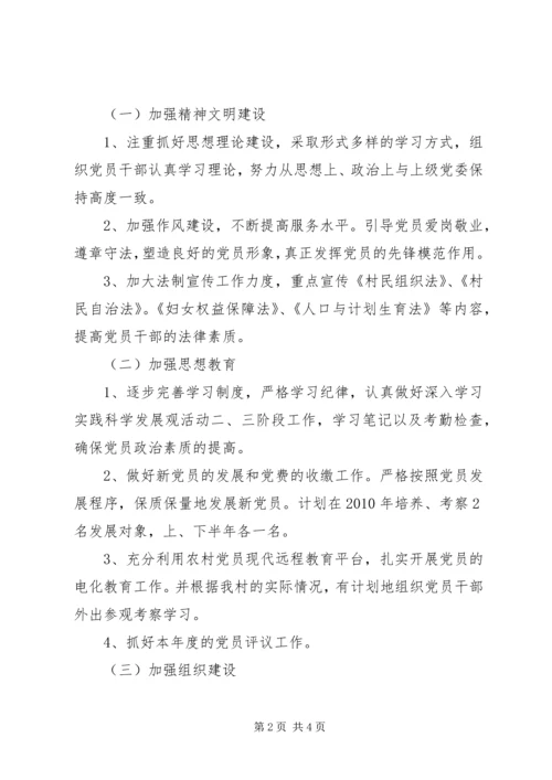 村党总支XX年度工作计划范文.docx