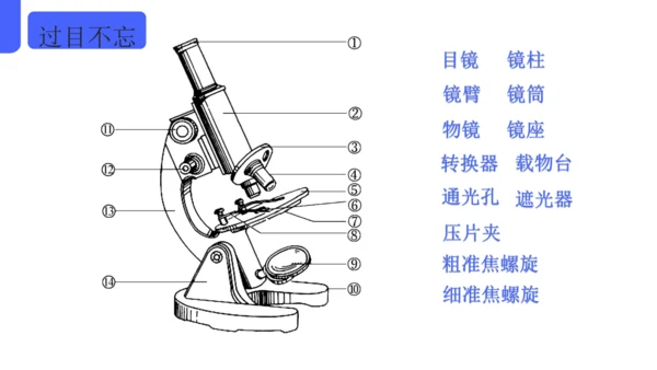 人教版（2024）七年级上册1.2.1 学习使用显微镜 课件(共29张PPT)