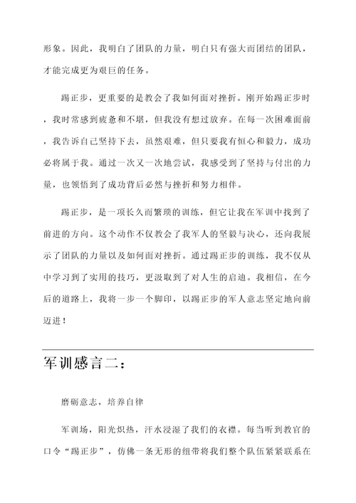 关于踢正步的军训感言